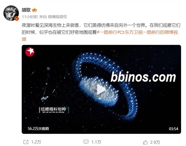 2023121912 环保纪实节目《一路前行》探秘深海 呼吁海洋环境保护